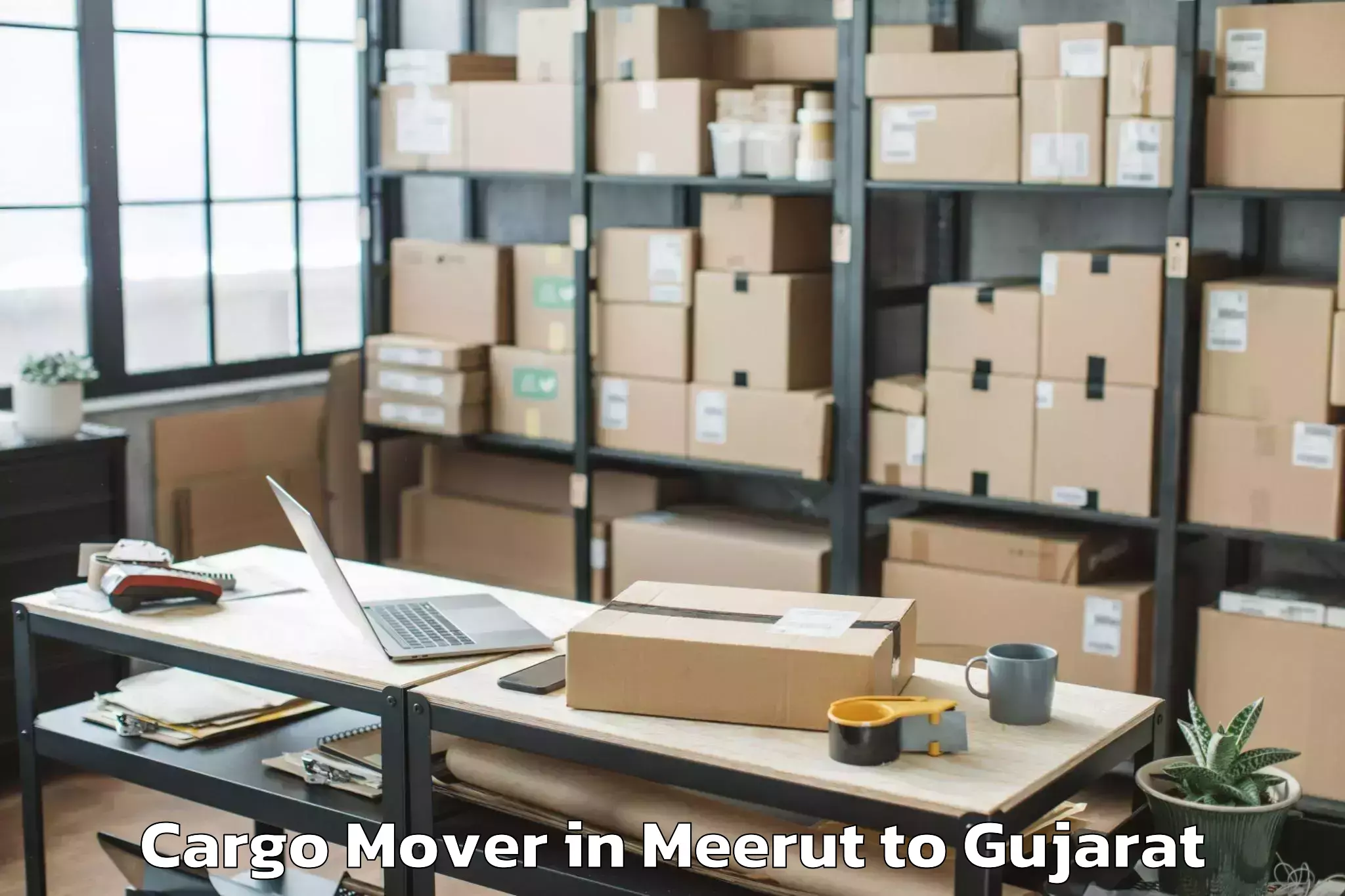 Top Meerut to Hemchandracharya North Gujarat Cargo Mover Available